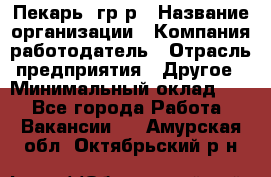 Пекарь– гр/р › Название организации ­ Компания-работодатель › Отрасль предприятия ­ Другое › Минимальный оклад ­ 1 - Все города Работа » Вакансии   . Амурская обл.,Октябрьский р-н